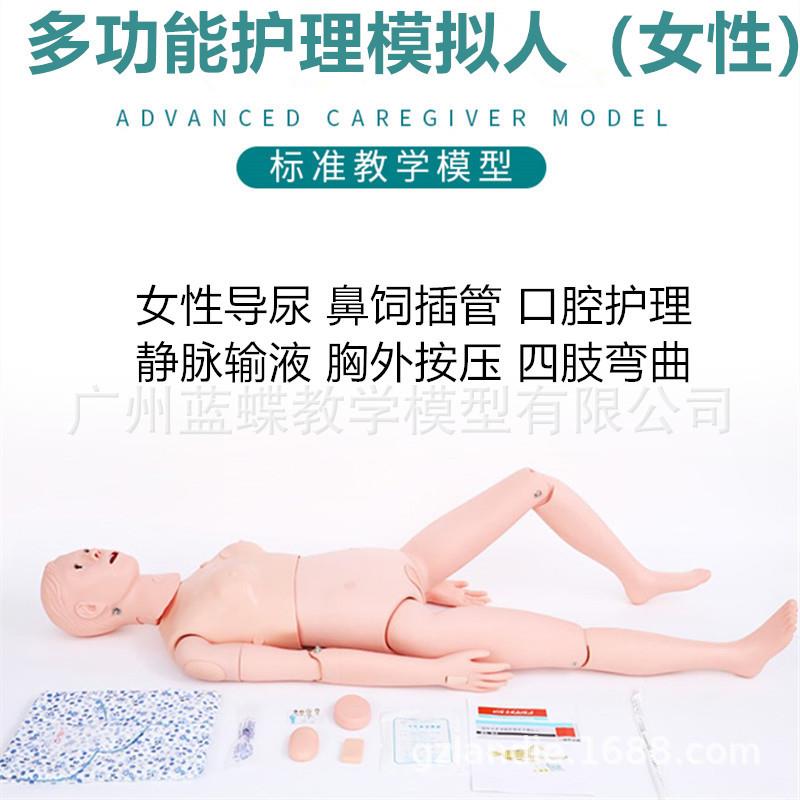 关节螺丝固定多功能女护理人医护人员实习模型护理用人体模特