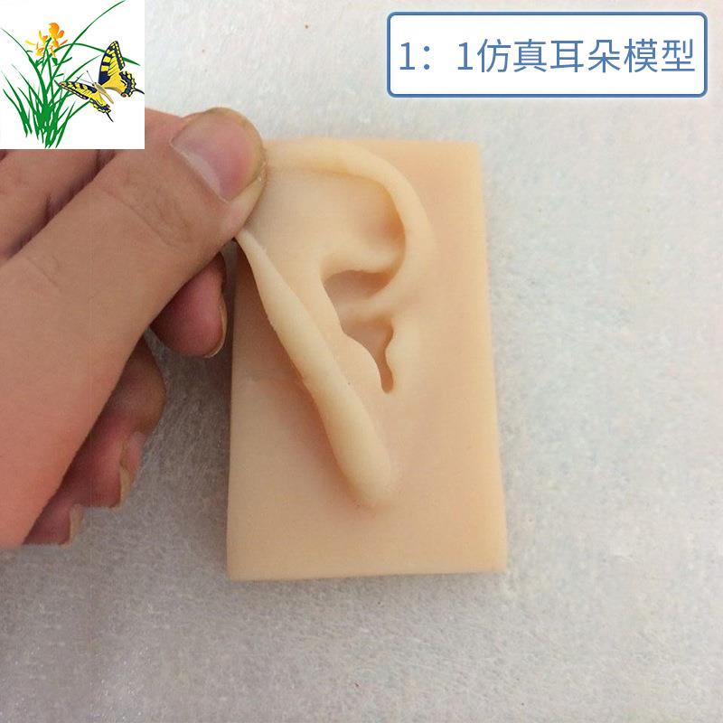 1比1比例 仿真耳朵 人体耳朵模型 耳膜型 硅胶针灸耳朵（右耳）