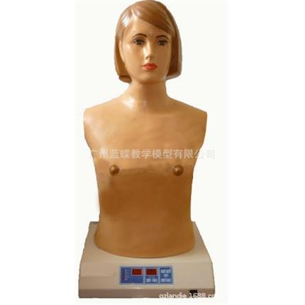 全自动心肺触诊听诊模拟人（单机版）心肺触诊 体征的部位及特征