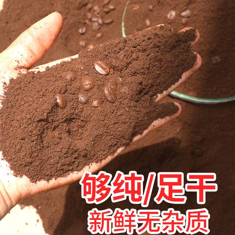 见山海咖啡屋的LOGO