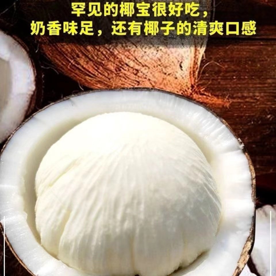 海南椰宝牛奶皇椰汁整箱包邮,当季新鲜水果椰皇老椰子肉,孕妇榨汁首选!🍹🍼-椰青-淘宝百科网