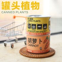 Sunflower Yi Li Pot Watch Plant Lazy Set Mini Self-Family Vegetables and Fruits Creative Desktop Gift