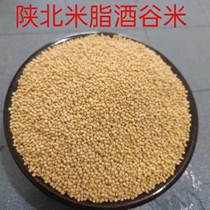 Shaanxi province Yulin rice fat county wine valley rice 2023 farmhouse self-planting new rice 5 cereals for rice wine with millet