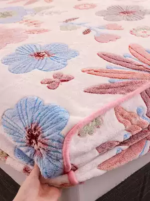 Flannel bed hats winter coral velvet bed crystal velvet double-sided plus velvet thick warm mattress bed cover