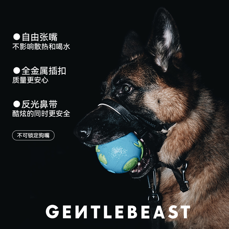 大型犬嘴套：不止是装备，更是守护的温柔