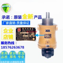 Pin-off high pressure Seiko Seiko 10 10 40 25 63 63 80108160250 400SCY14-1B plunger pump