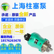 Pin-off Hongda 10 16 16 32 32 40 63 80100160 250SCY14-1B axial plunger pump