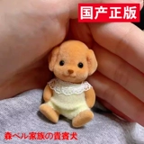 Сяохонгу, та же самая семья Мори, Пудель, Пудель, Кукольная кукла Гамапа, игрушки папарацци