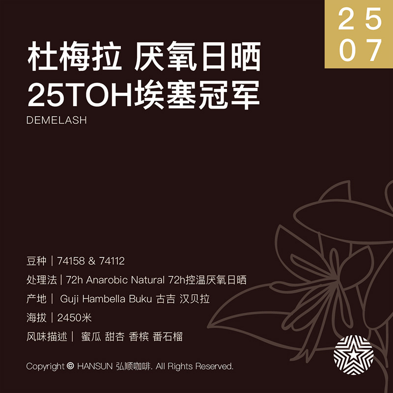 Hongshun Coffee 25 Ethiopian Toh Sun-Dried Champion Domeila Guji Anaerobic Sun-Dried G1 Coffee Beans Hongshun Coffee 25 Ethiopian Toh Sun-Dried Champion Domeila Guji Anaerobic Sun-Dried G1 Coffee Beans