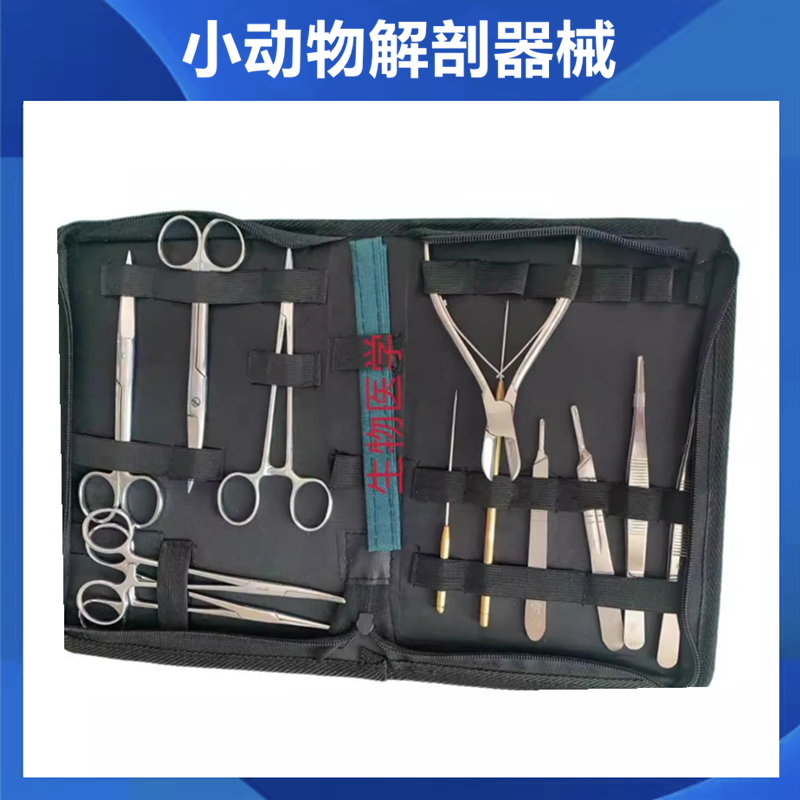 小鼠解剖器械 大鼠手术解剖器械 小动物解剖器械 老鼠解剖器械盒