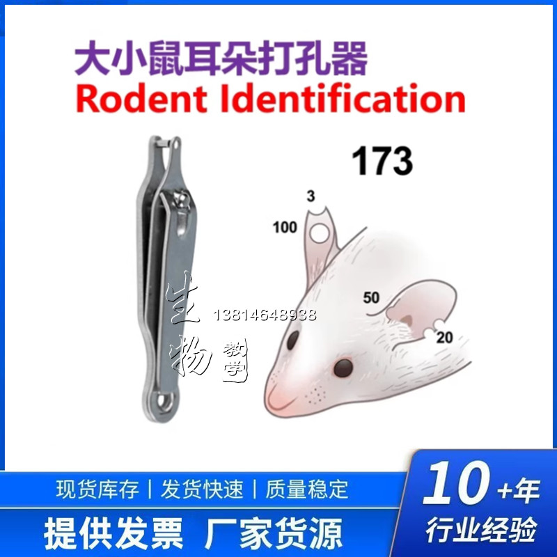 大鼠小鼠耳朵打孔器 动物打洞器 打孔钳 老鼠打耳器 鼠耳肿打孔器