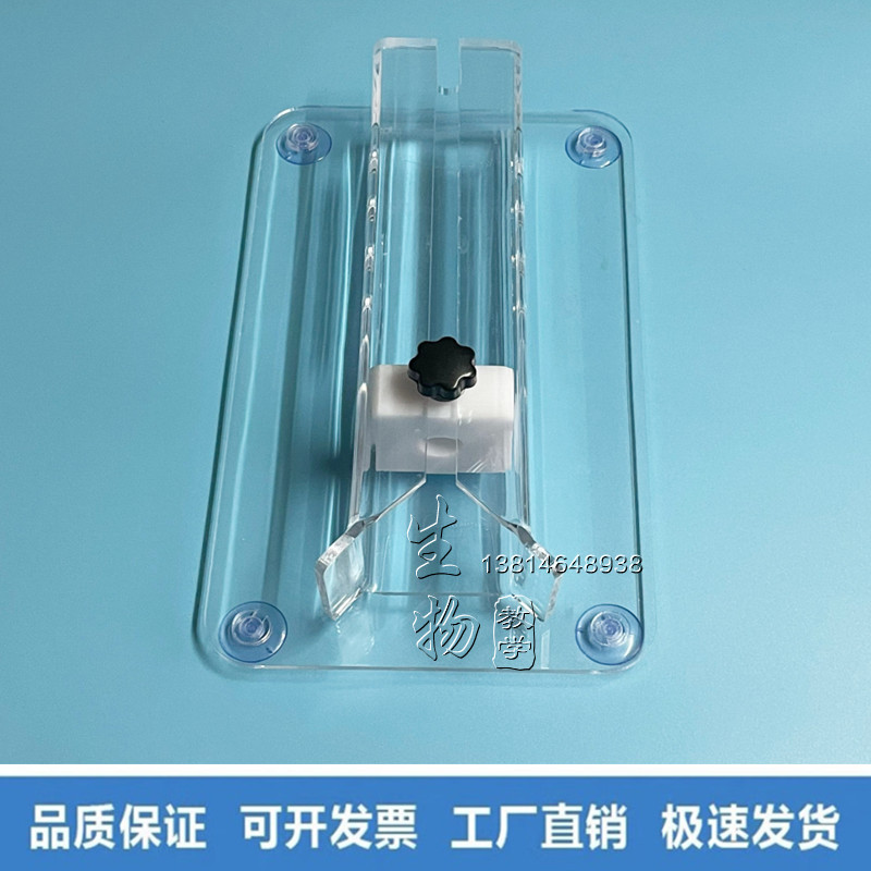 小鼠吸盘固定器 大鼠吸盘固定器 老鼠平躺固定器 固定器 束缚筒