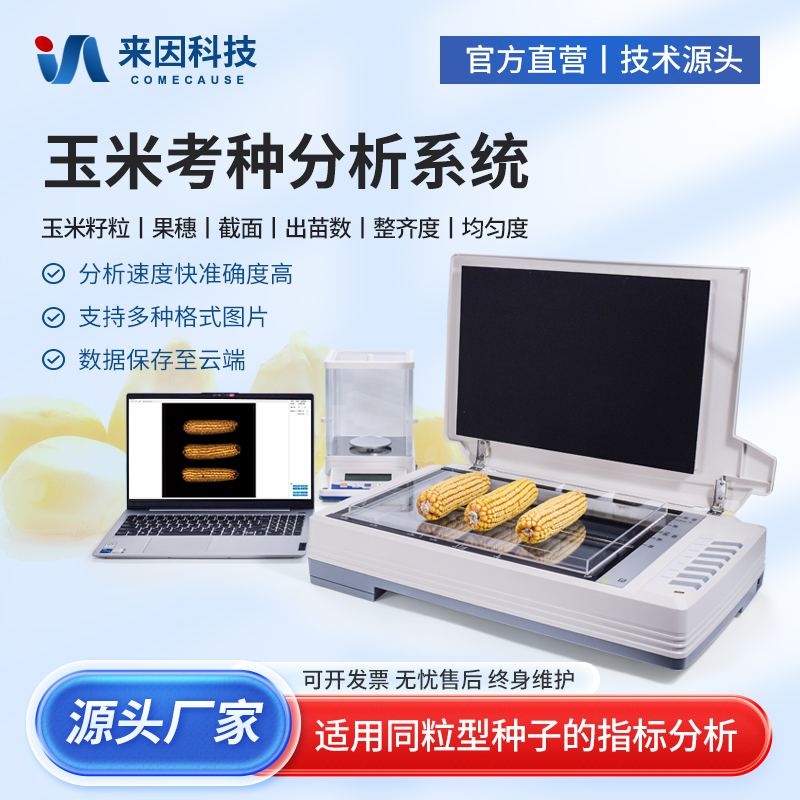 玉米考种仪粮食谷物分析系统千粒重检测高智能玉米整穗截面分析仪