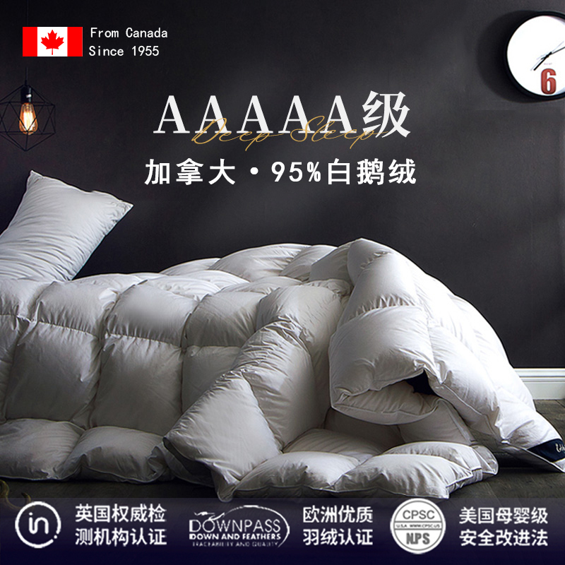 Canadian Imported Duvet 95% White Goose down Five-Star Hotel Spring and Autumn Quilt Core Silk Winter Quilt Thickened for Warmth Canadian Imported Duvet 95% White Goose down Five-Star Hotel Spring and Autumn Quilt Core Silk Winter Quilt Thickened for Warmth