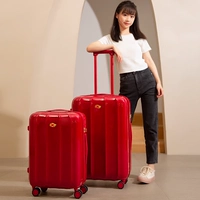 Роза красный [бесплатная крышка коробки, ламинированная и разрываемая]