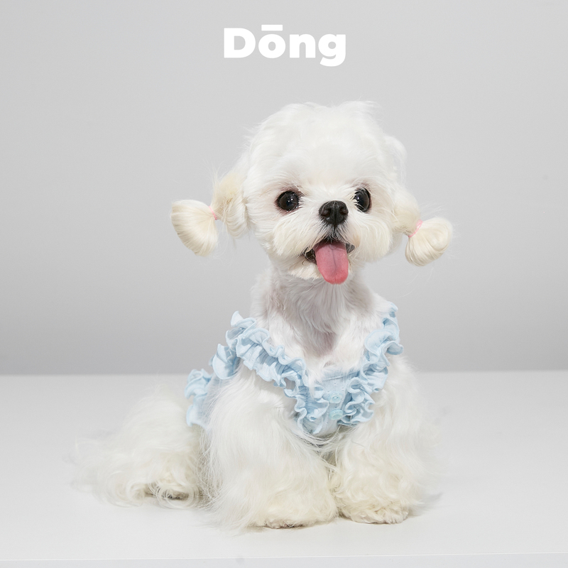 Dongdong Dog Pet Lace Vest with Straps, Lightweight and Fresh Princess-Style Clothing for Teddy, Bichon, Schnauzer, and Small Dogs