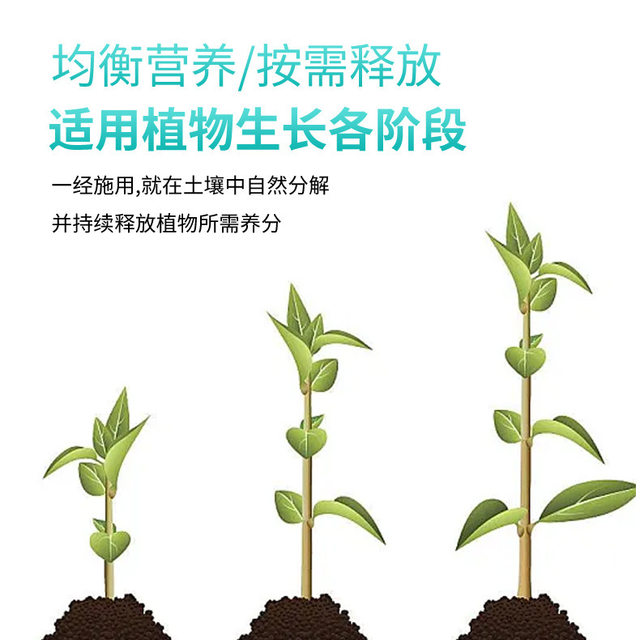 Green plant fertilizer, lazy nutrition bar, flower fertilizer, potted plant universal household flower cultivation, genuine flower slow-release fertilizer