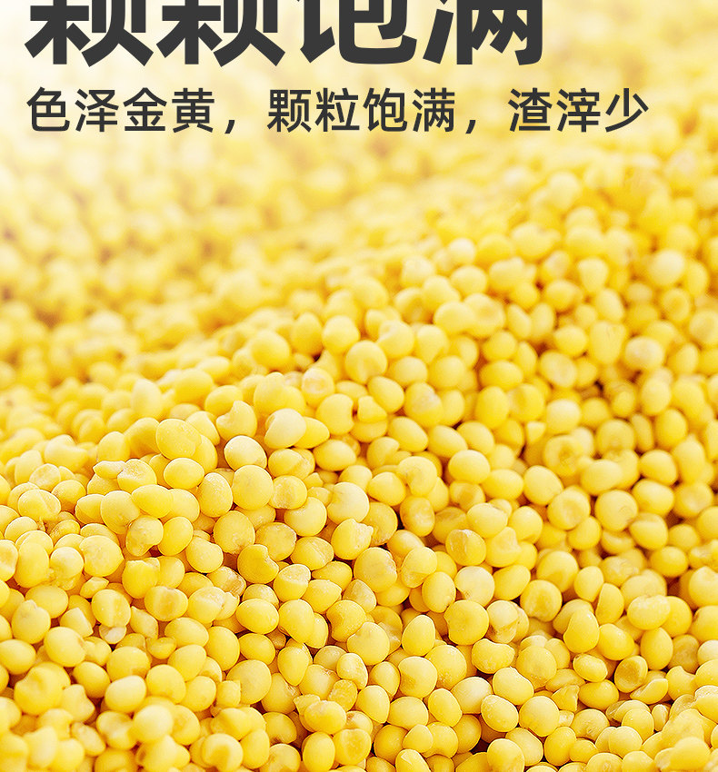 安享好物 安享S级大黄米-九月的诗有机大黄米 国标 