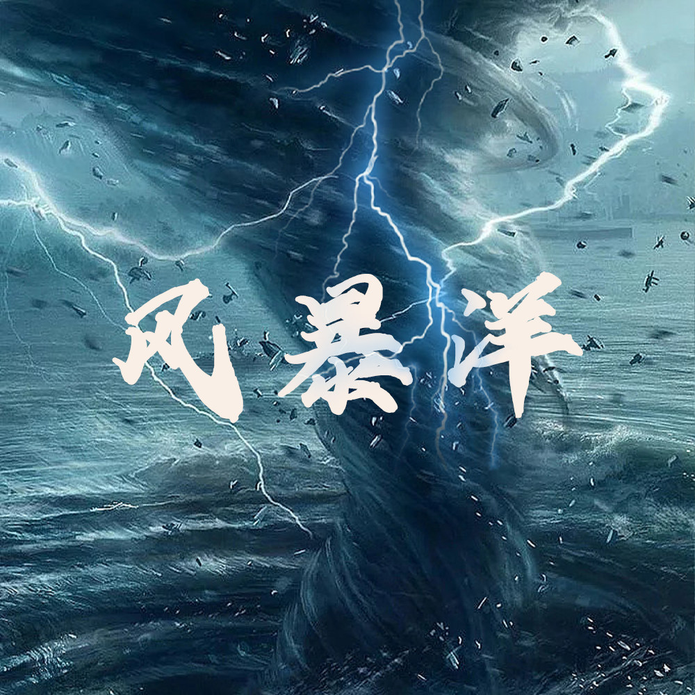 风暴洋数码
