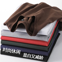 2 pieces) Regular style wear 2022 summer new heavy solid color mens short-sleeved t-shirt bottoming shirt round neck t-shirt