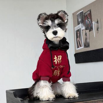 Pet clothing to keep warm from the cold