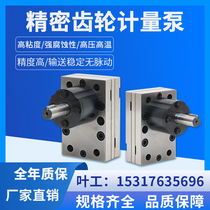 Precision polyurethane resin frequency conversion pump servo stepper motor micro adjustable speed hot melt adhesive gear metering pump