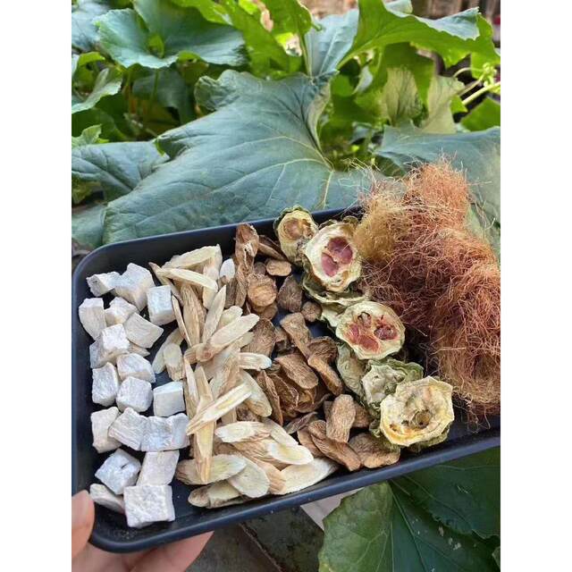 Blood Sugar Tea with 10 Ingredients: Bitter Melon, Dried Corn Silk, Kudzu Root, Astragalus, and Burdock Tea, a Health Soup Pack for Men and Women