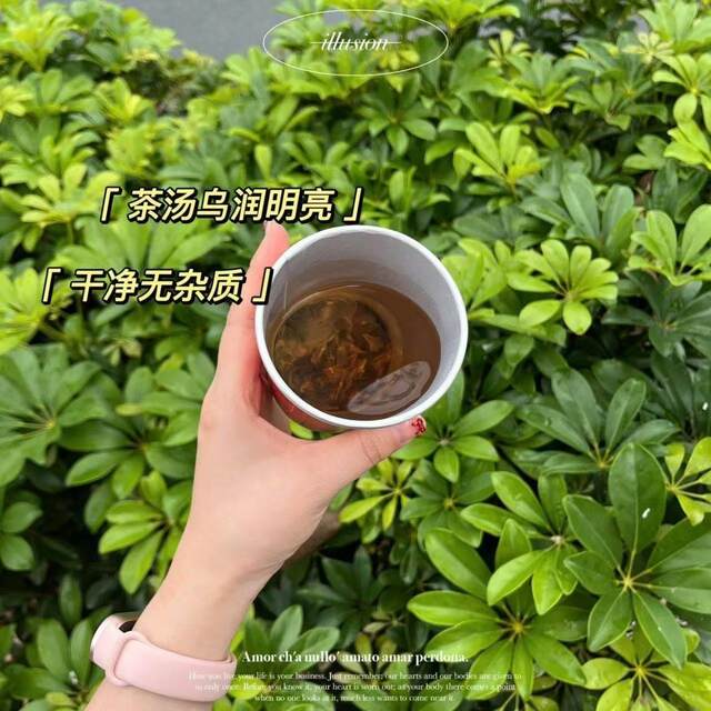 Authentic Nanjing Origin Direct Sales Golden Thread Lotus Health Tea Cups Disposable Convenient Cups for Hosting and Entertaining with