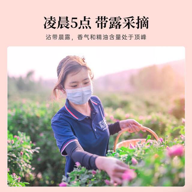 Jiaomu Rose Tea First Harvest Sulfur-Free Scented Roses Pingyin Rose Tea Large Double-Petaled Red Roses 30G/Bag