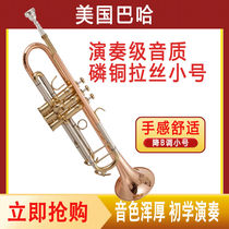 Bach trumpet instrument in B flat heavy-duty phosphor bronze wire drawing easy to play for beginners band examination performance level
