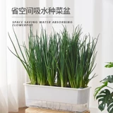 Специальный горшок для выращивания лука, артефакт для выращивания овощей, ящик для ленивой посадки овощей на крыше семейного балкона, самопоглощающийся прямоугольный цветочный горшок