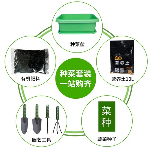 Посадка луковица -специфические овощи, овощные артефакты, семейный балкон здание Топ овощ