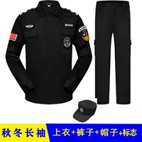 Зимний верх + брюки + логотип + шляпа