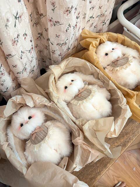 [Finished Gift Box] Handmade Joint Doll Lop-Eared Rabbit Cute Bunny Plush Doll Birthday Gift