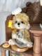 [Material Pack] Kitchen Series· Chef Puppy Imported Mohair Joint Doll Handmade DIY Material Pack