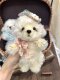 [Material Pack] Bichon Teddy Dog Handmade Joint Doll Puppy DIY Material Pack Sewing Fabric Doll