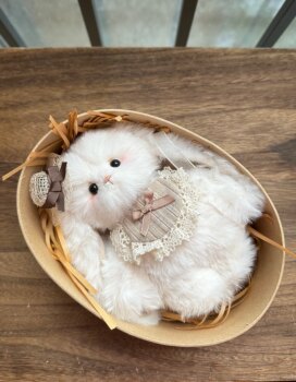 [Material Kit] Original Handmade Jointed Doll Lop-Eared Rabbit Material Kit DIY Handmade Plush Doll