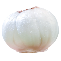 Gansu Lanzhou Lily newly dug fresh lily 500g fresh edible raw sweet white lily non-dry goods specialty grade