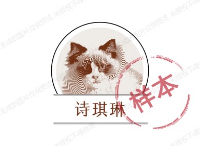 诗琪琳百货批发