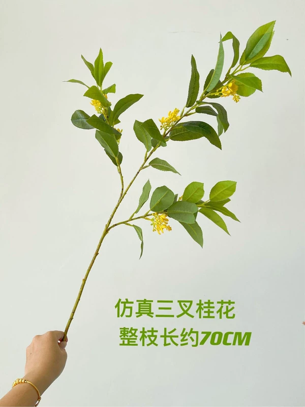 hoa giả đẹp Mô phỏng Osmanthus Hoa mô phỏng đám cưới Hoa Mô phỏng bốn mùa Osmanthus Cây Osmanthus bố cục cảnh đám cưới lan giả hạc rừng chậu lan hồ điệp giả