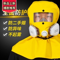 Gas mask full face mask dustproof industrial dust spray paint special antivirus protection full face closed anti-smoke
