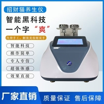 Unblocking meridians electric current massage therapy device health and beauty device whole body Lucky Cat