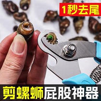 Snail butt cutting artifact snail tail cutting machine tail cutting pliers special scissors stone snail jian snail tail removal artifact