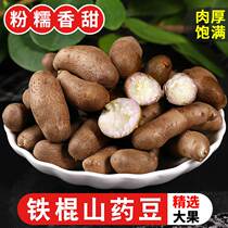 Hebei Fresh Iron Stick Yam Beans 5 Cati Should Season Now Off Iron Rods Yam Grain Small White Mouth Huai Mountain Vegetables 3