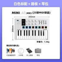 Minilab Mk3 White Standard [педаль+твердый мешок]