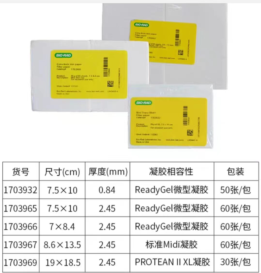 伯乐bio-rad电泳滤纸WB实验室湿转印转膜半干转印加厚1703932/170