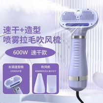 Pet hair dryer quick-drying water ion sprayer cat and dog bathing and blow-drying artifact silent hair-pulling all-in-one comb