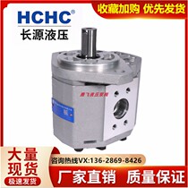 Hefei Changyuan CBQ-F550 540 N532 525 520 563-AFP AFH oil pump G hydraulic gear supply