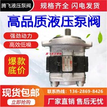 SGP1A25A9H5-R383C Tianjin Shimadzu hydraulic gear pump XY Xinyuan excavator oil pump excavator oil pump
