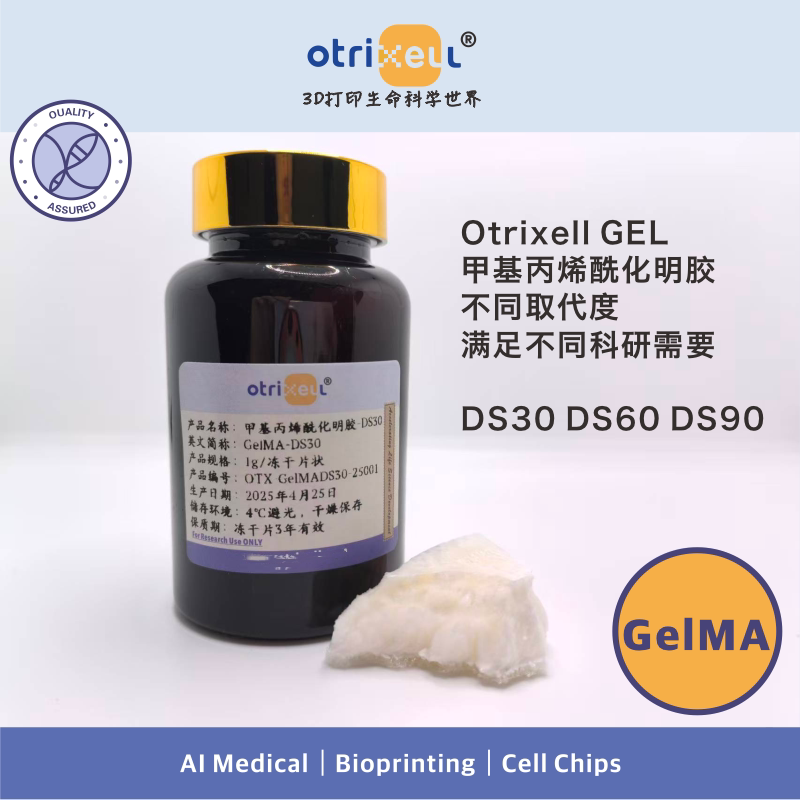 Gelma Methylacrylated Gelatin Hydrogel 3D Printing Hydrogel Organoid Light-Curing